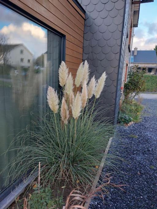 Le Reposoir Maison Spacieuse Avec Feu Au Bois Bertogne Экстерьер фото